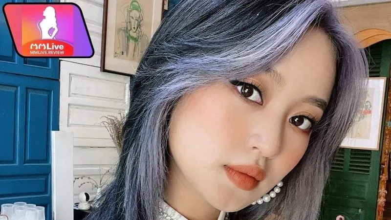 Mi Vân là ai? Từ hot girl đời đầu đến biểu tượng sắc đẹp 3 Sự nghiệp và hoạt động nổi bật